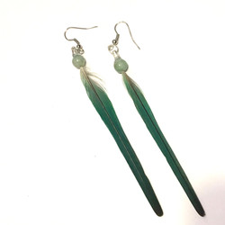 Feather Earrings