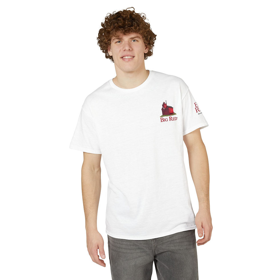 Thumbnail: BIG RED T-Shirt w/ large logo on back and sleeve detail