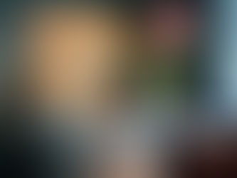 Ausência interna de novidades & tinturas de animus