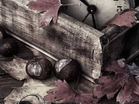 Os instantes perfeitos - A chave do segredos proprios