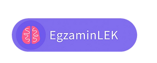 Zrzut_ekranu_2025-02-16_o_17.50.11-removebg-preview.png