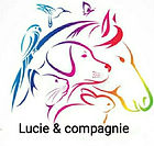 logo lucie & compagnie.jpg