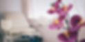 Header Image (1).png