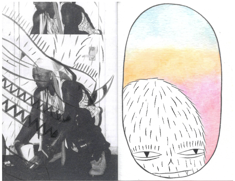 Thumbnail: Evan Rossell Harry Fools Zine