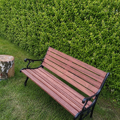 Blossom Bench