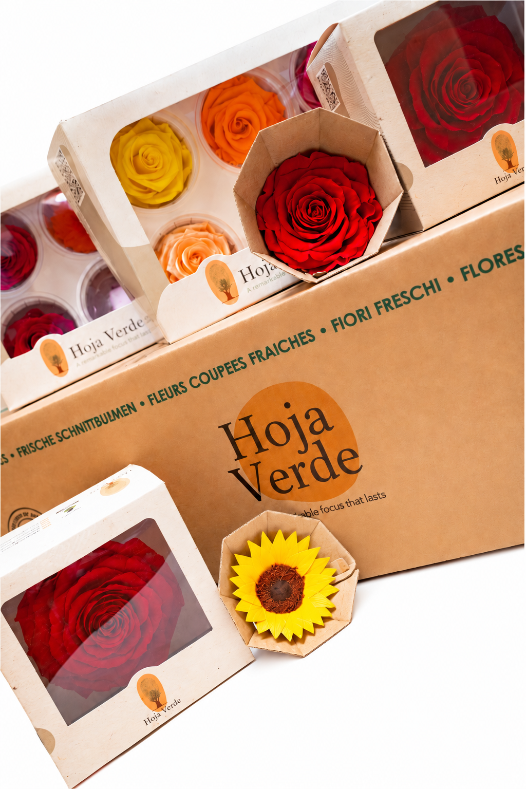 Example presentation of preserved rose and flower samples in labeled showcase boxes