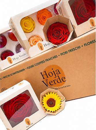 Example selection of packaged roses and a yellow flower with Hoja Verde boxes. Discounted introduction box for new clients, containing the entire collection from catalog.