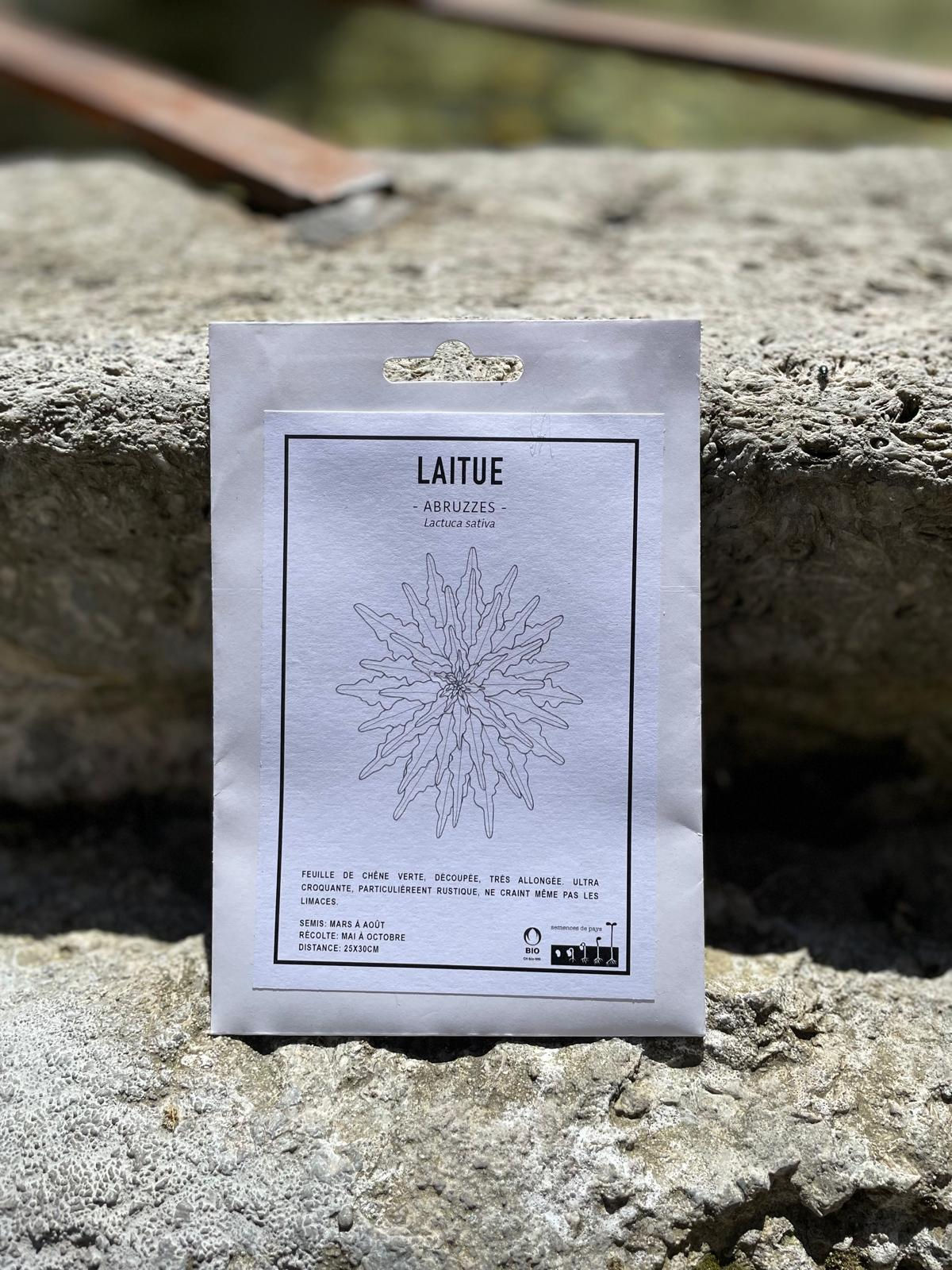 Graines-Bio Suisse - Laitue Abruzzes "Semences de Pays" Chez ékho Moudon