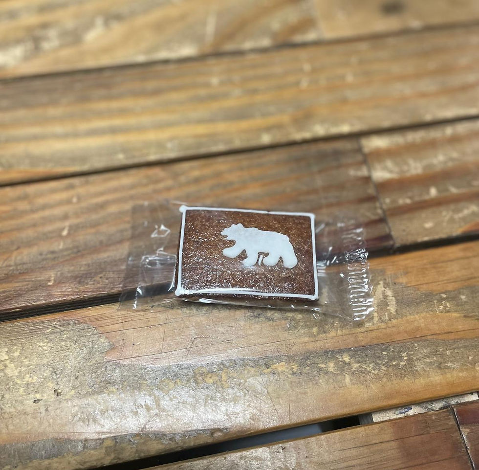 Biscôme aux Noisettes Petit Ours "Emmentaler Backwaren" Chez ékho Moudon