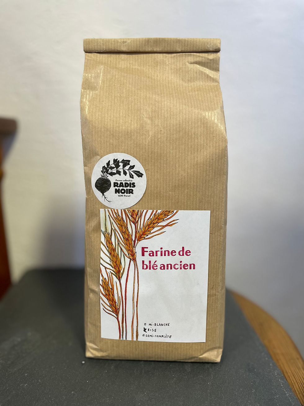 Farine de Blé Ancien Bise 1kg "Ferme Collective Radis-Noir" Chez ékho Moudon