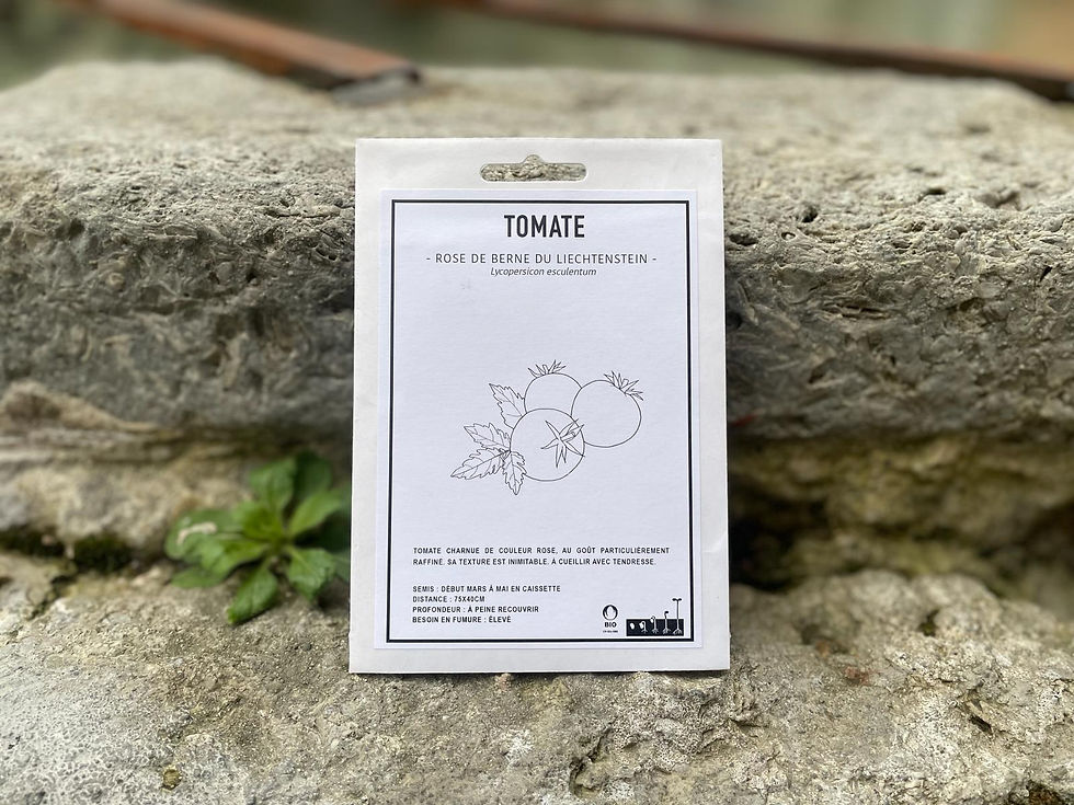 Graines Suisses - Tomate Rose de Berne du Liechtenstein Chez ékho Moudon Suisse