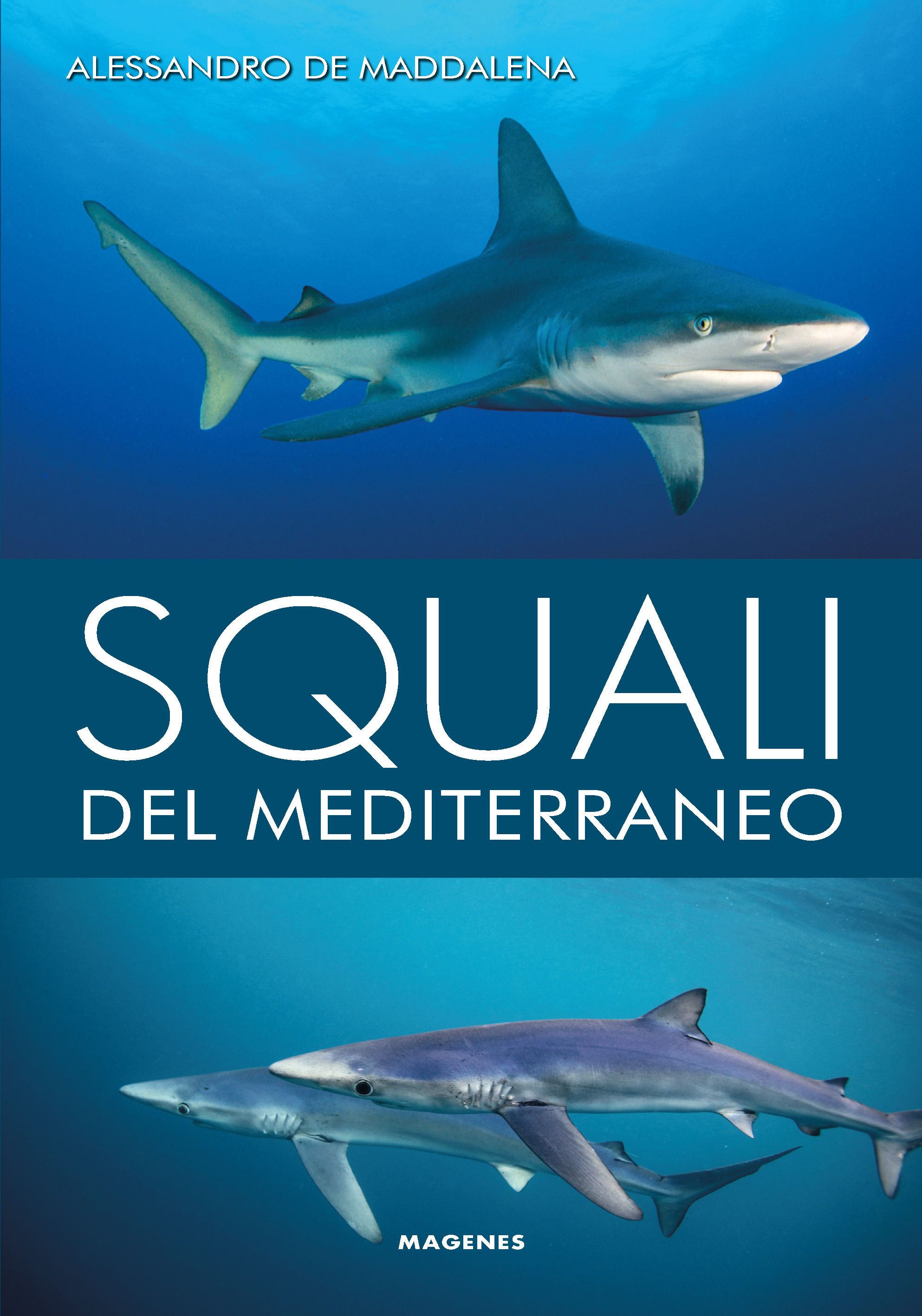 Squali del Mediterraneo