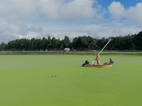 Levantamiento topobatimétrico lagunas de oxidación AEROPUERTO INTERNACIONAL EL DORADO, BOGOTÁ