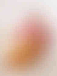 Mariachi band performing live during cocktail hour at Mexico destination wedding