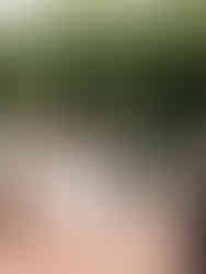 Bride and groom greeting guests during cocktail hour at Riviera Maya destination wedding