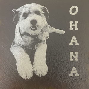 Ohana Coaster