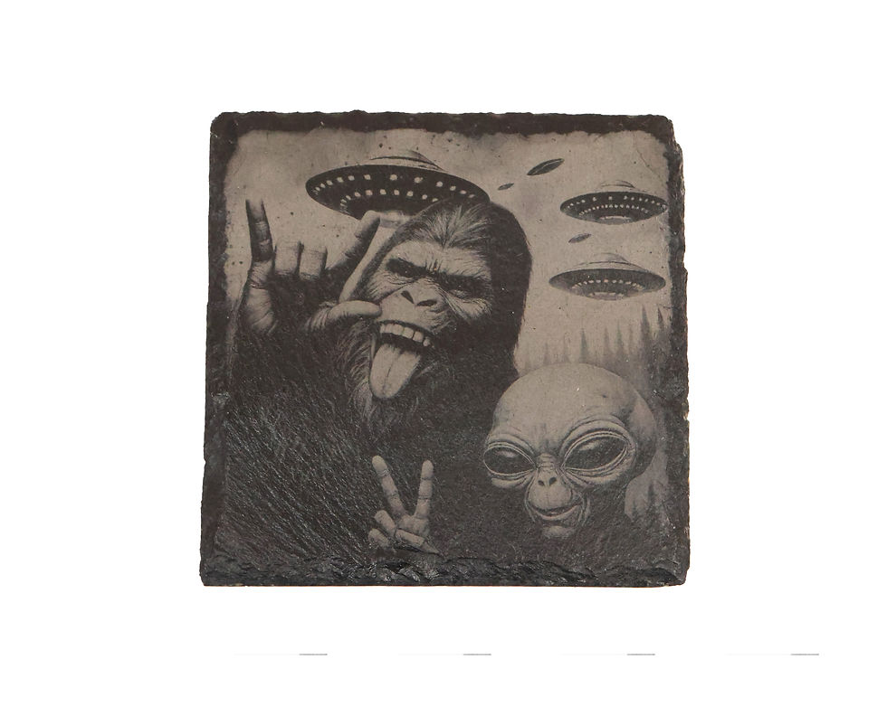 Thumbnail: The Ultimate Forest Selfie Coaster