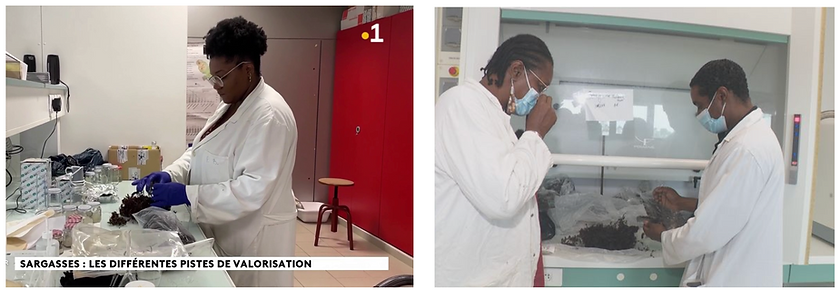 Capture d’écran 2025-09-09 à 21.01.56.png