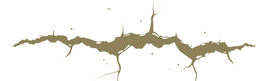 Untitled design (8)_edited_edited.png