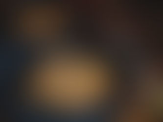 Mushroom risotto with pecorino romano