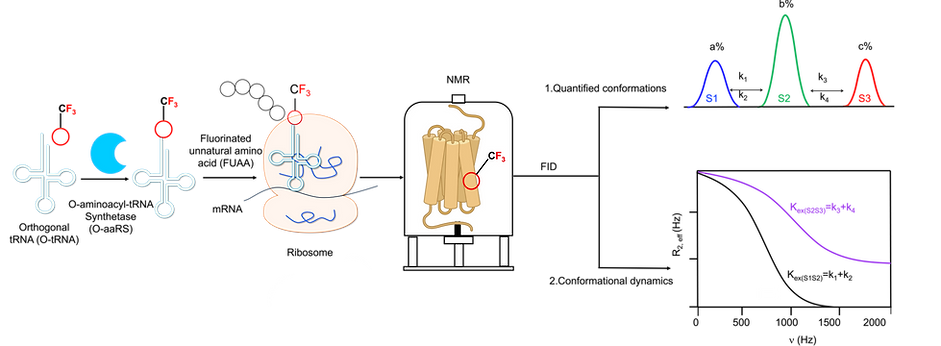 Picture1.png