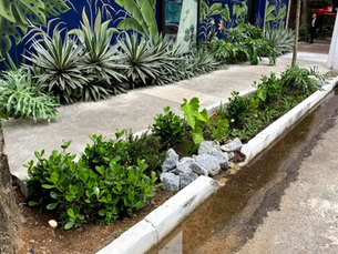 Jardim de chuva em São Paulo: até o fim de 2024 cidade terá 400 áreas verdes