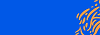 fundo.png