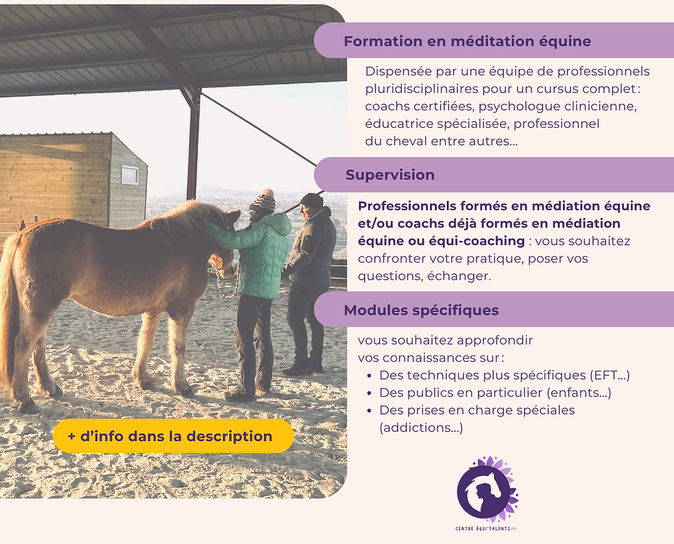 L'équi-coaching pour les pro.png