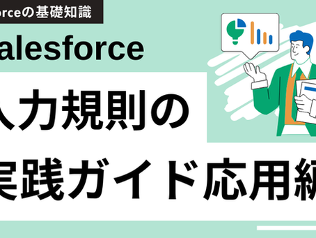 【応用編】Salesforce入力規則の秘訣と実践ガイド