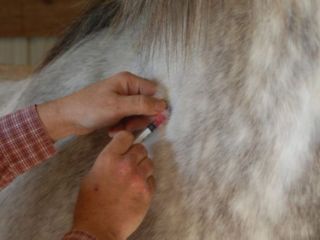 Vaccination Indications