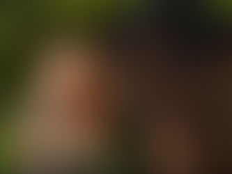 People-Friendly Horses Are Born That Way