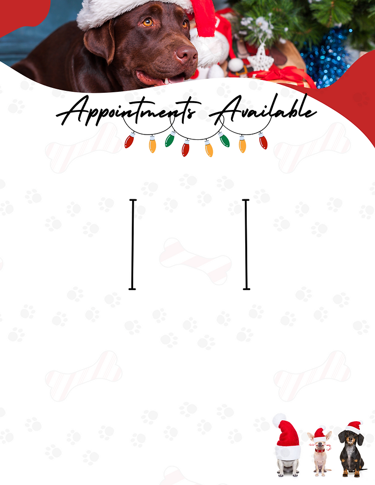 Gone Grooming Lakehurst