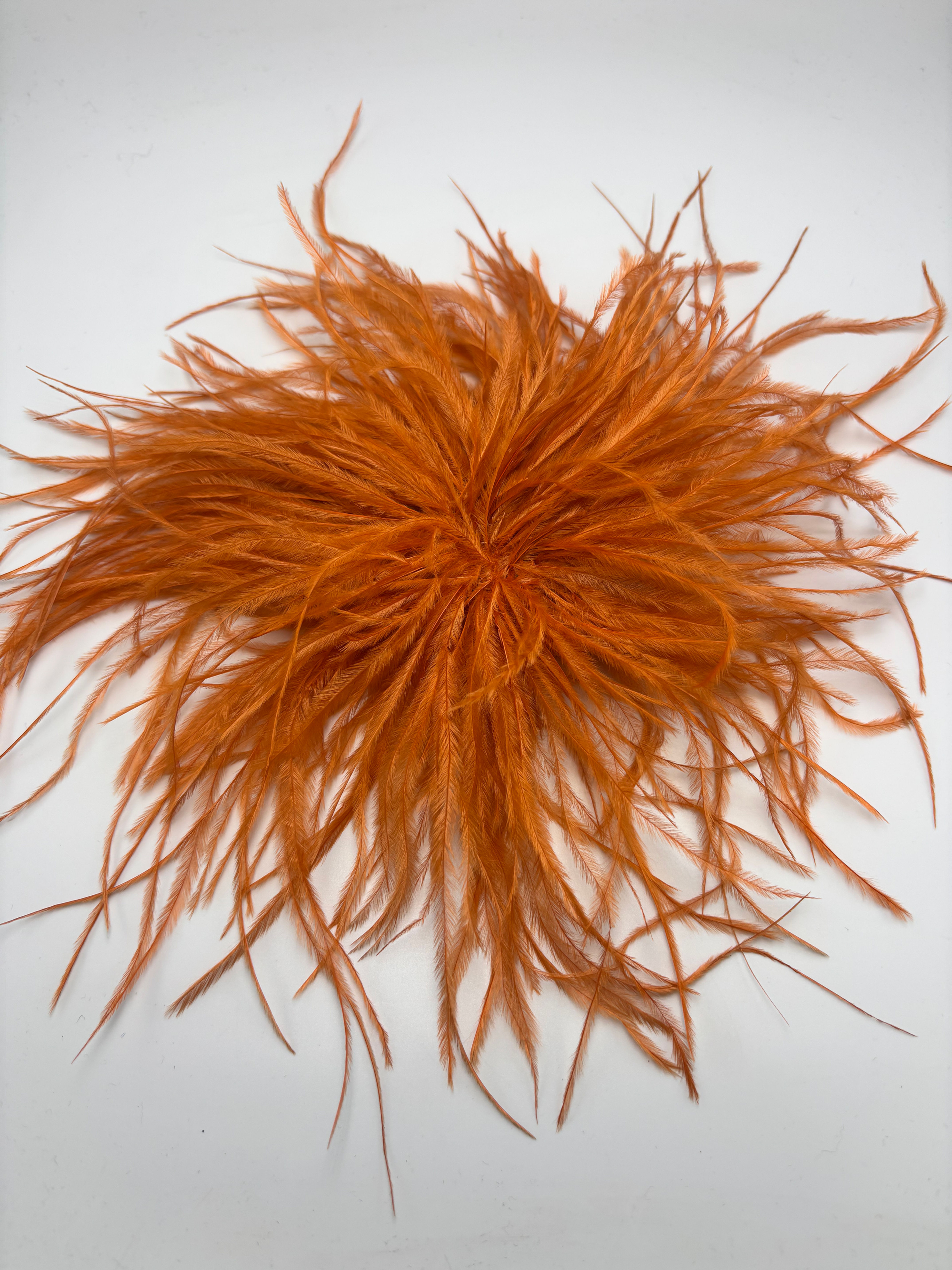 Palmas large feather brooch/corsage