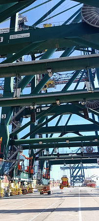 20231003_142620.jpg