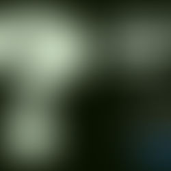 【EVENT&VIDEO】5日連続 KING BROTHERS Presents Namba Mele Anniversary ライブイベント・Day5「?」Broadcast Special!