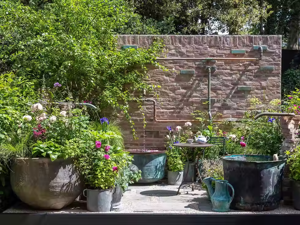 A garden 