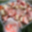 ★ Strawberry Cheese Cake bites