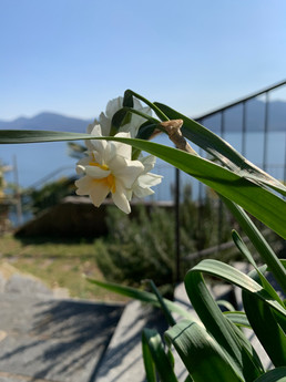 image00002.jpeg