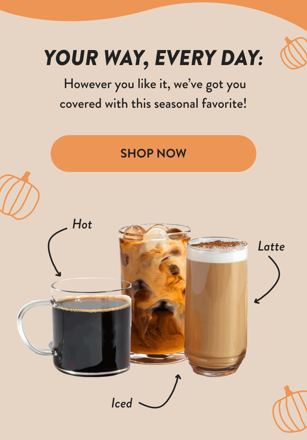 Pumpkin.gif