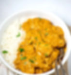 South Indian Chicken Curry with Rice