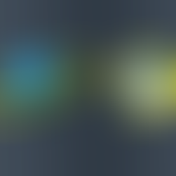 A number of International federations leaders welcomed Dmitri Torner’s election of the President of Moldovan Winter sports association