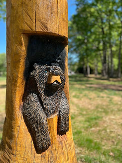 Swan Creek Retreat NC wine country.jpeg