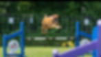 Melody June_edited.jpg
