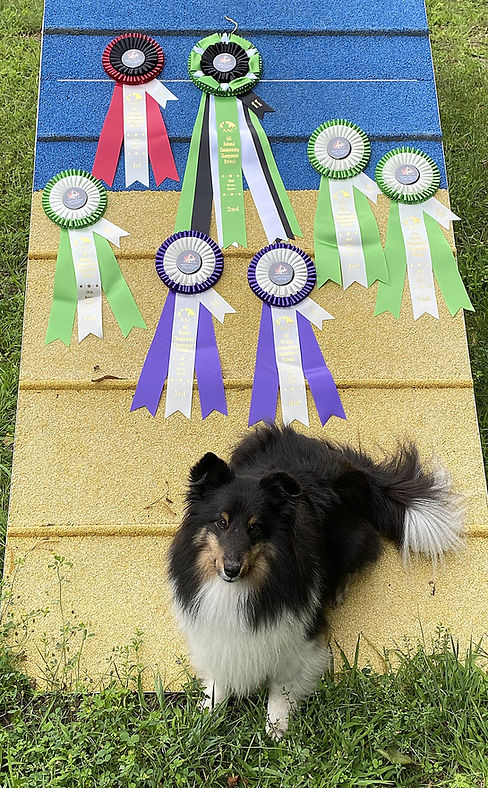 Kate 2nd place at Canadian Championships.jpeg