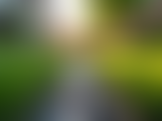 Benefits of Professional Drainage Installations Explained