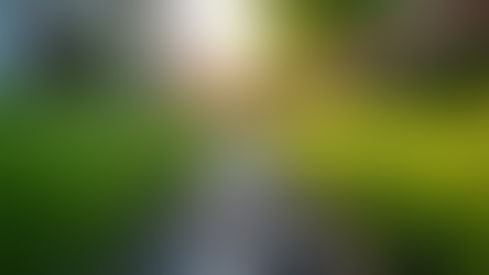 Benefits of Professional Drainage Installations Explained