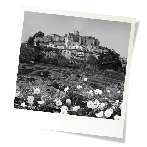 polaroid.webp