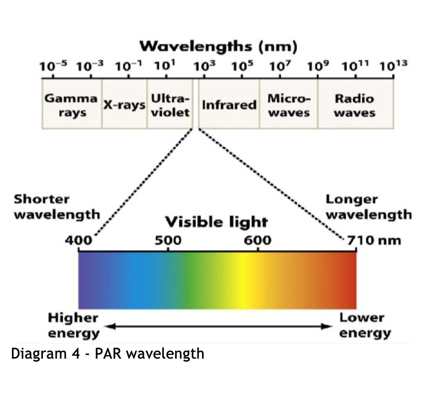 PAR wavelength graph