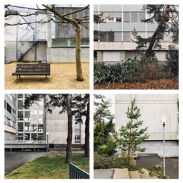 Sudden geometries