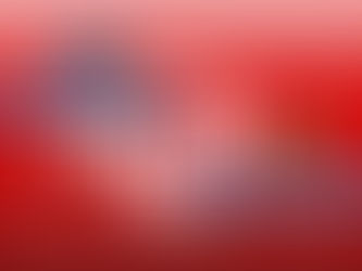 American and chinese Cargo Container ship illustrating the economic warfare and trade war